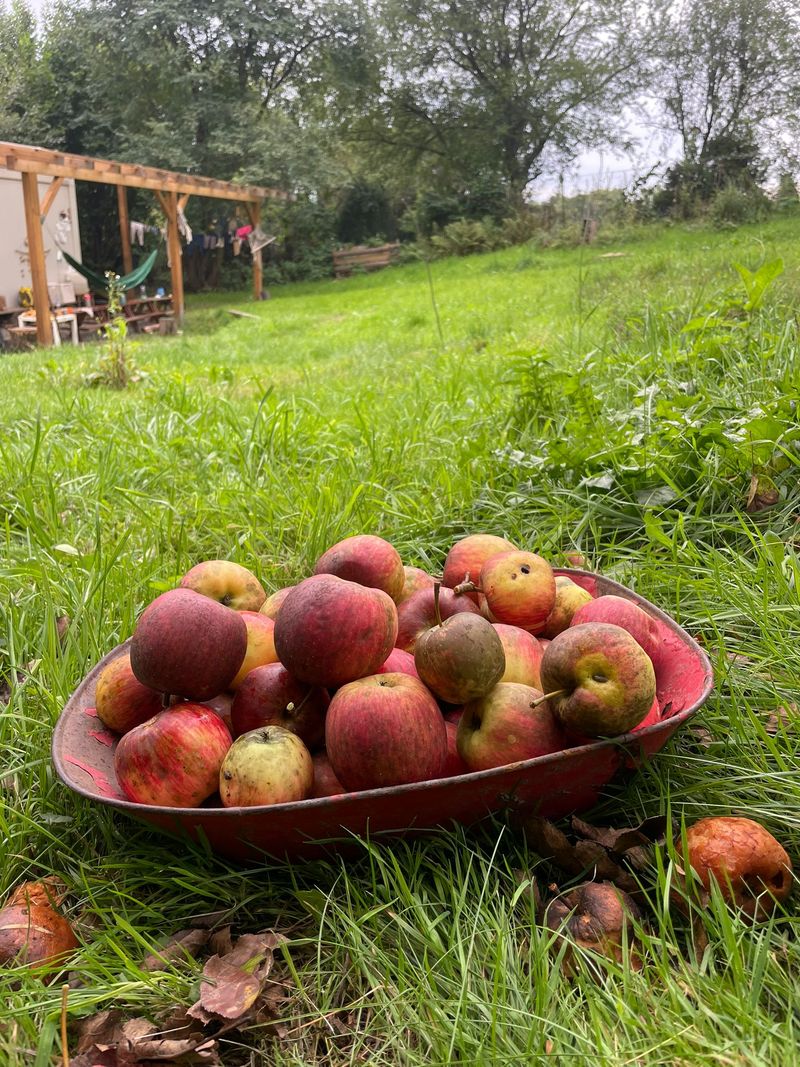 Zázemí lesního klubu