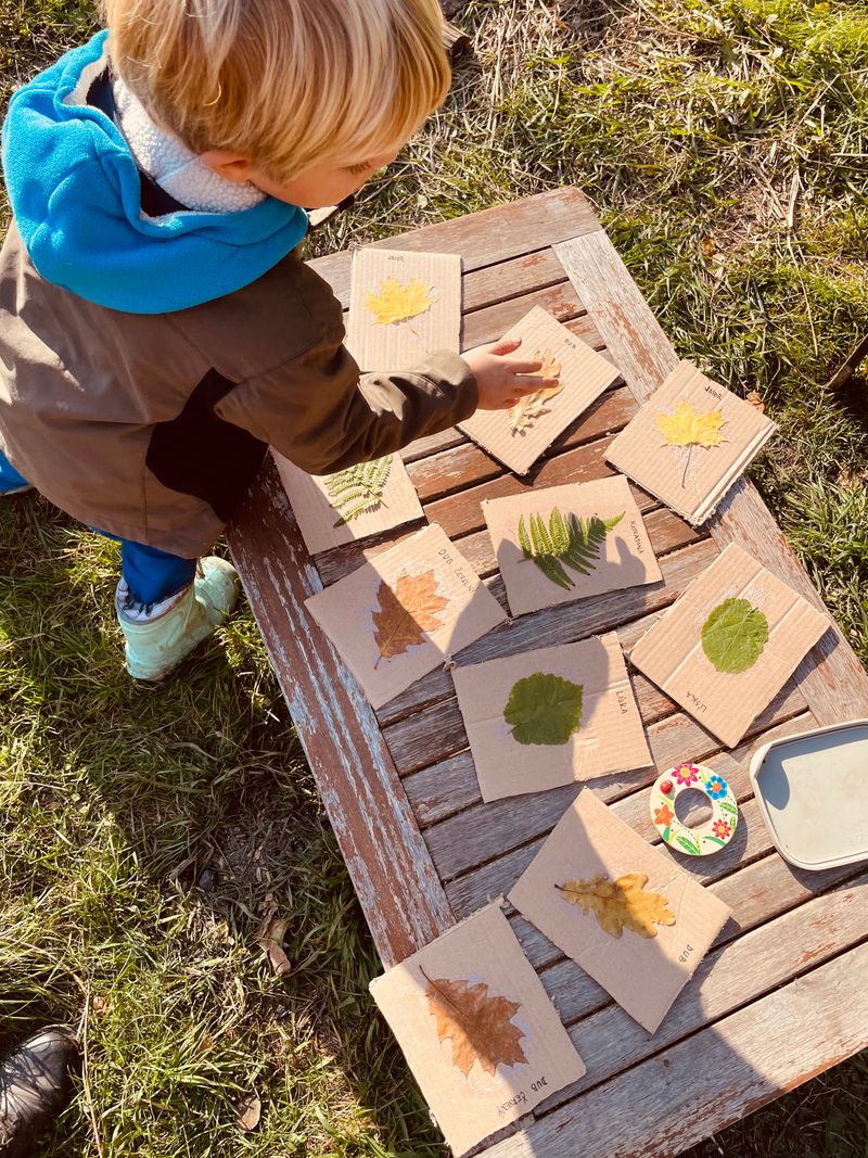 Program dne v lesním klubu