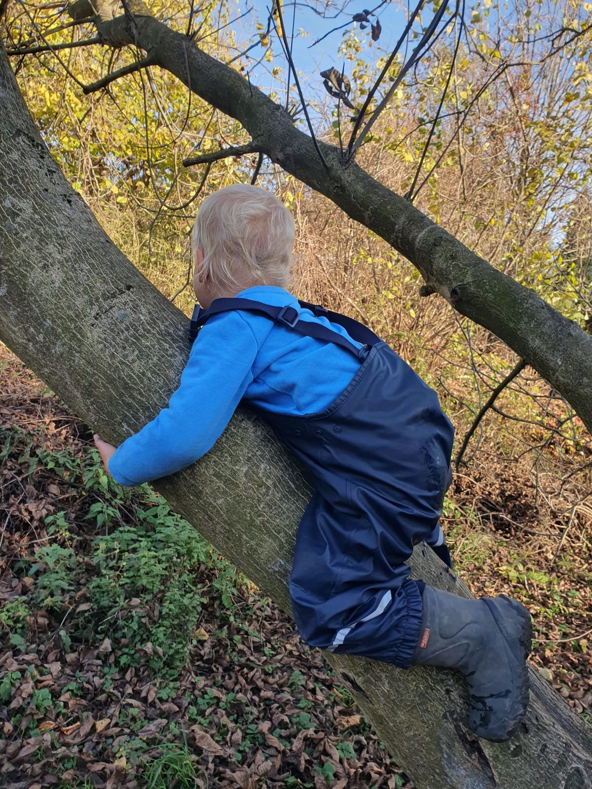 Děti při komunitní akci